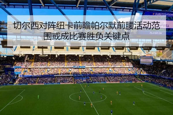 切尔西对阵纽卡前瞻帕尔默前腰活动范围或成比赛胜负关键点